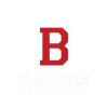 Bees Bands